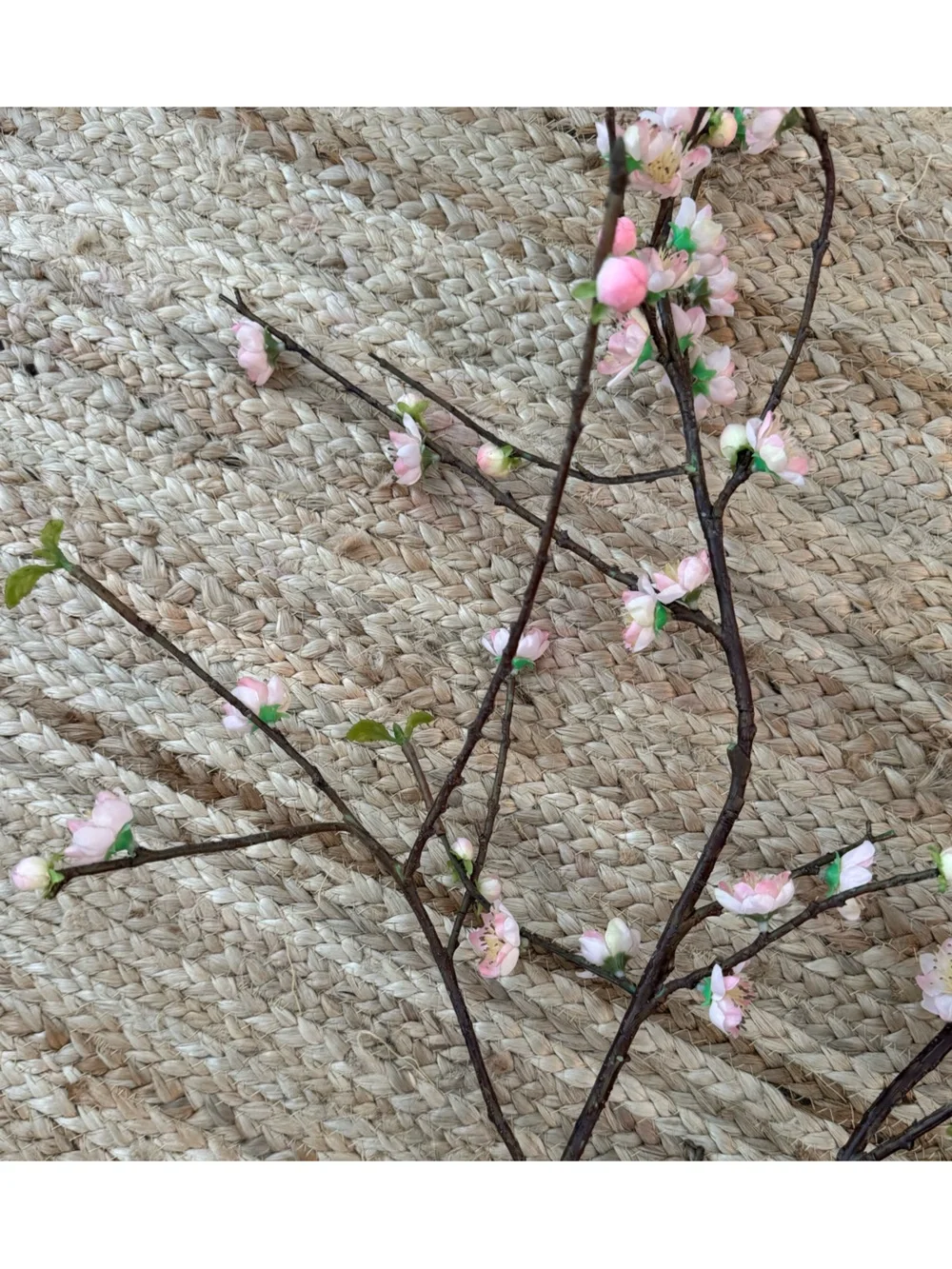 Three West Elm Cherry Blossom Branches